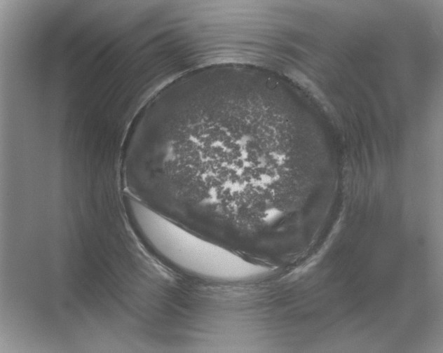 X0000068891121200605192128