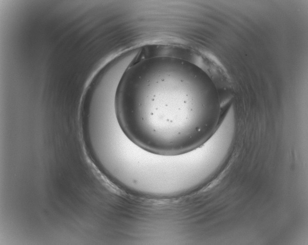 X0000068891122200605192128