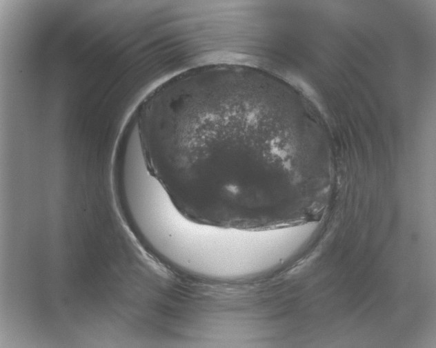 X0000068891125200605192128