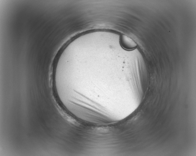 X0000068891126200605192128