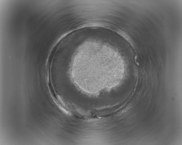 X0000068891127200605192128