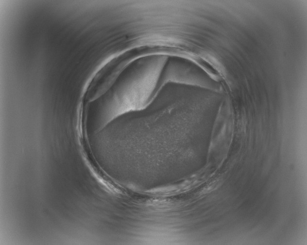 X0000068891128200605192128