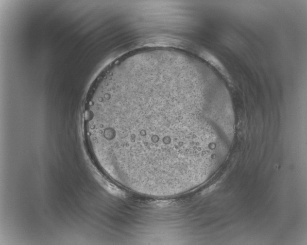 X0000068891130200605192128