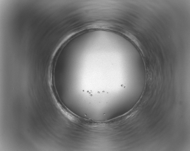 X0000068891131200605192128