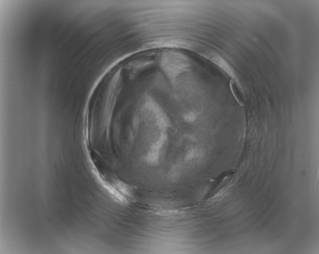 X0000068891132200605192128