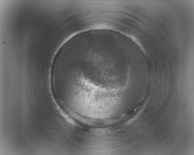 X0000068891134200605192128