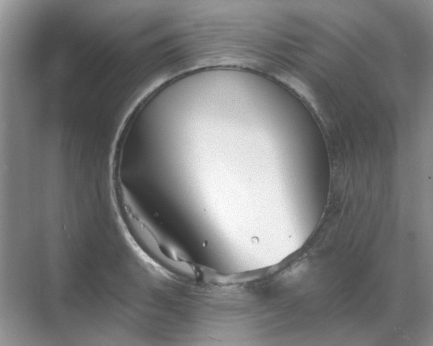 X0000068891135200605192128