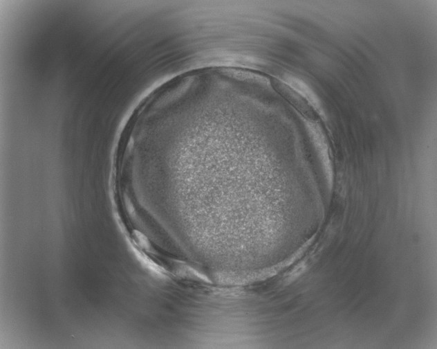 X0000068891136200605192128