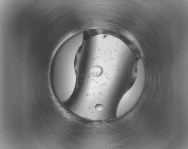 X0000068891138200605192128