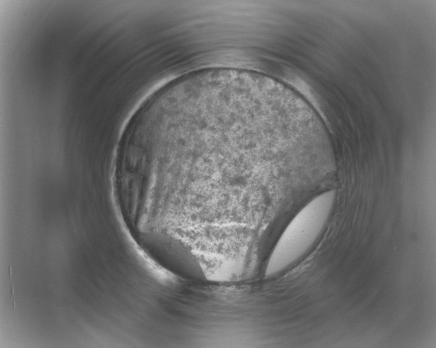 X0000068891139200605192128