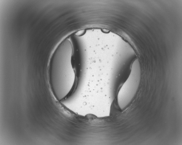 X0000068891140200605192128