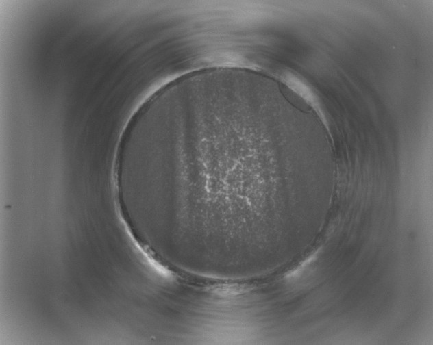 X0000068891141200605192128