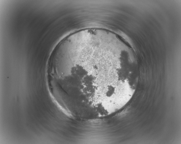 X0000068891142200605192128