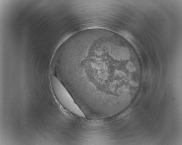 X0000068891145200605192128