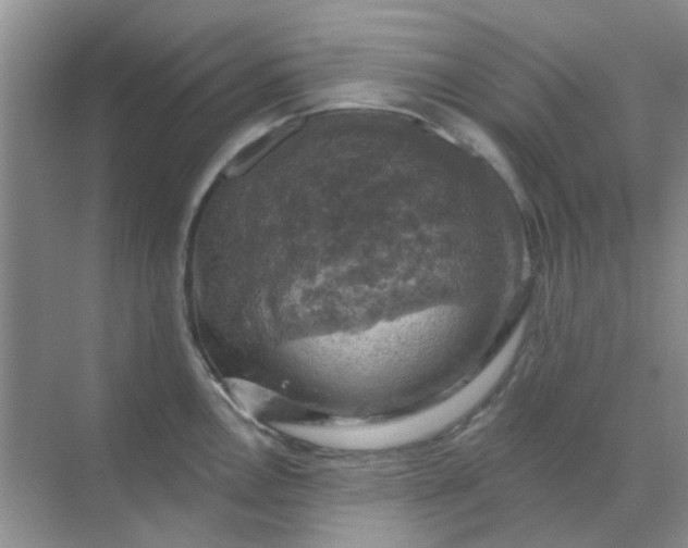 X0000068891146200605192128