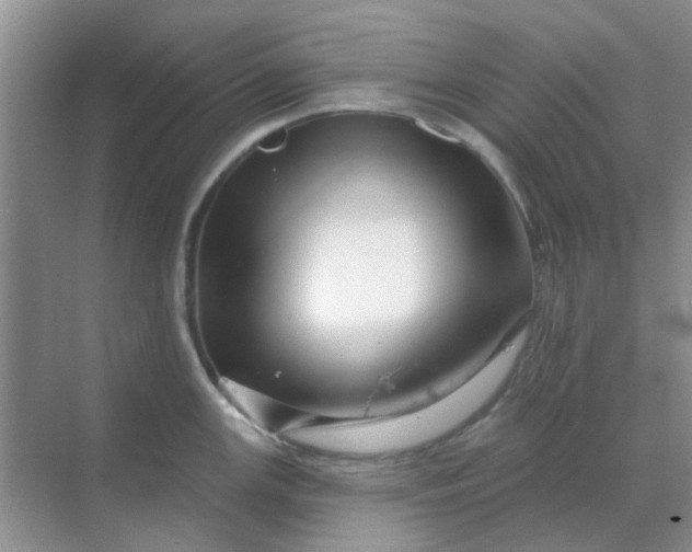 X0000068891147200605192128