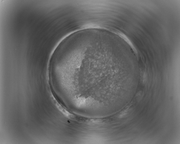 X0000068891148200605192128