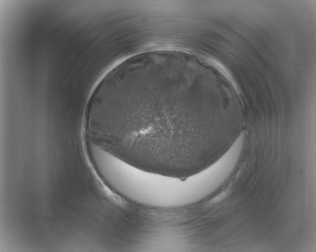 X0000068891149200605192128