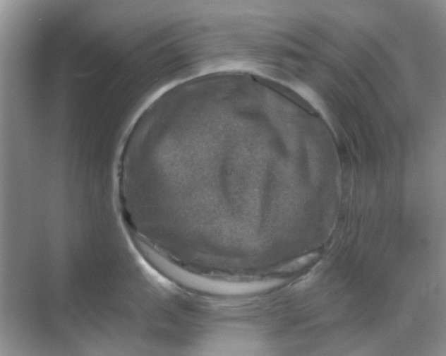 X0000068891151200605192128