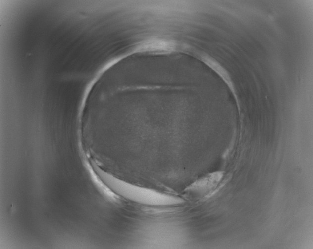 X0000068891152200605192128