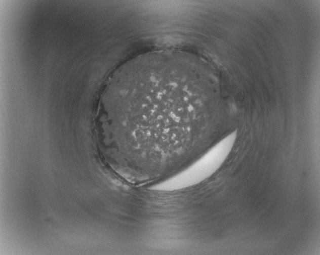 X0000068891153200605192127