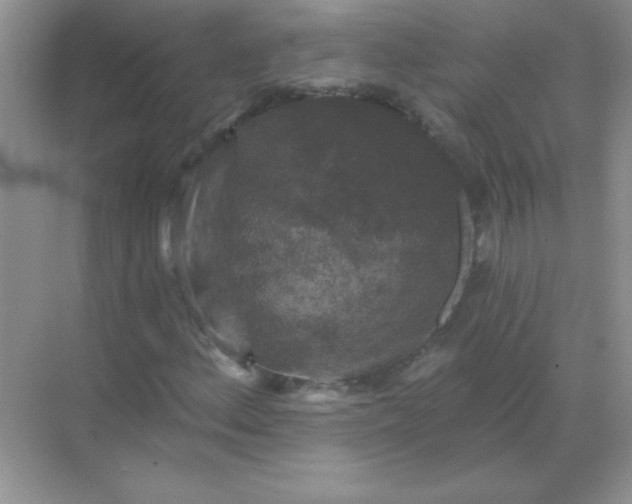 X0000068891156200605192127