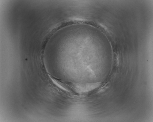 X0000068891157200605192127