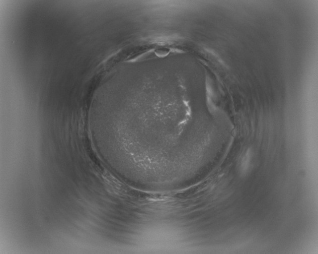 X0000068891158200605192127