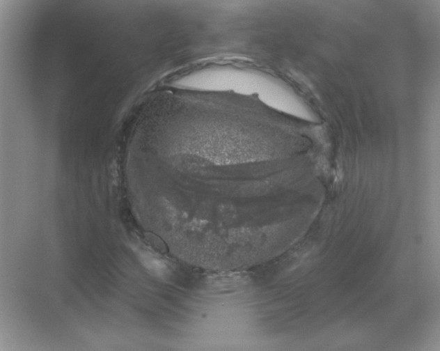 X0000068891159200605192127