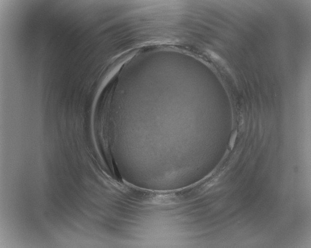 X0000068891161200605192127