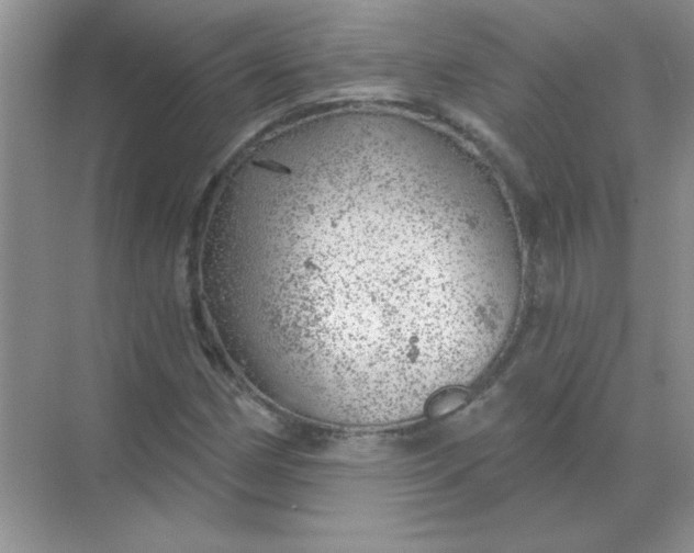 X0000068891162200605192127