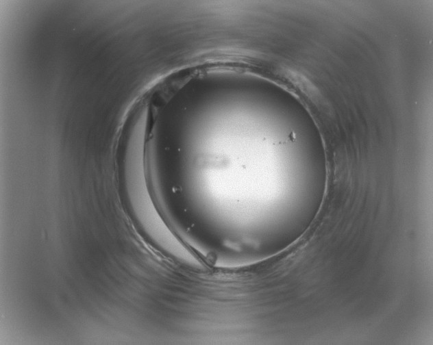 X0000068891164200605192127