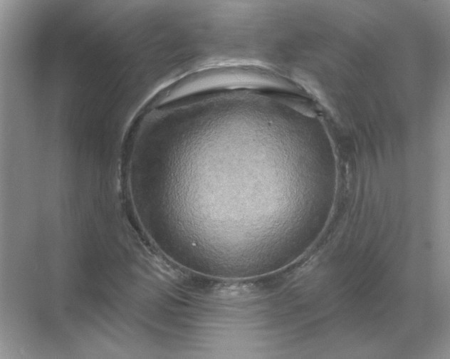 X0000068891165200605192127