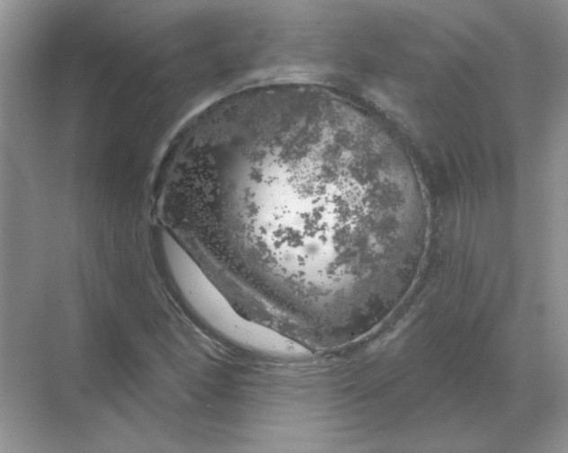 X0000068891166200605192127