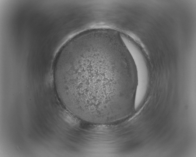 X0000068891167200605192127