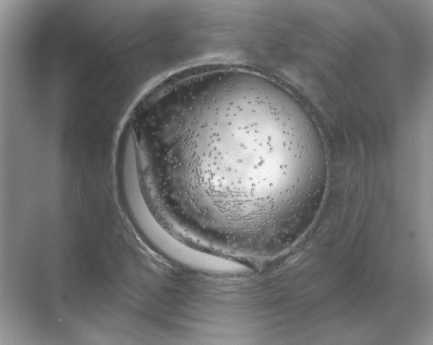 X0000068891168200605192127