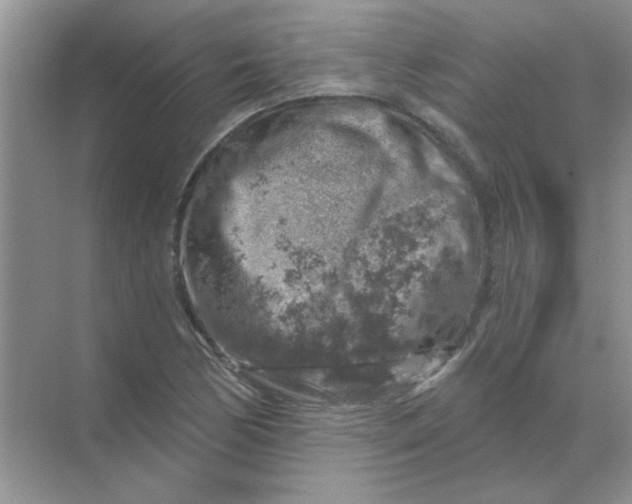 X0000068891170200605192127