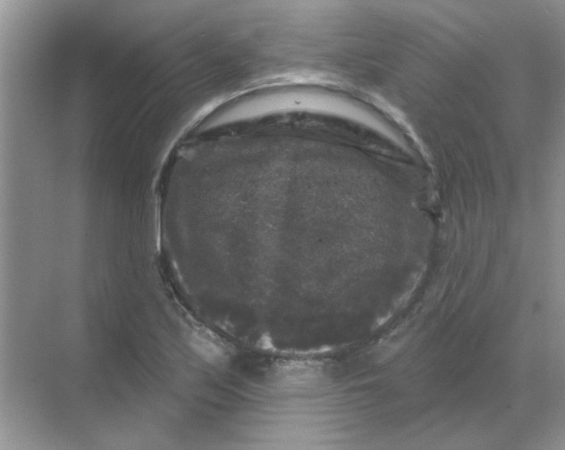 X0000068891171200605192127