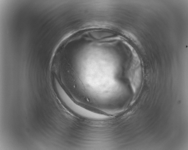 X0000068891172200605192127