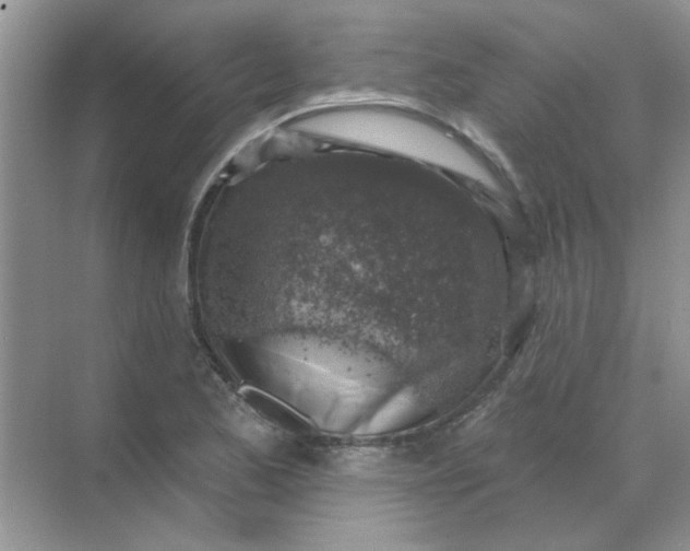 X0000068891173200605192127