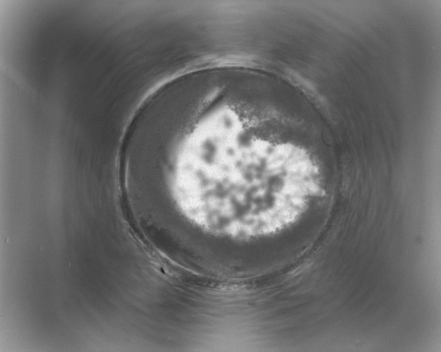 X0000068891174200605192127