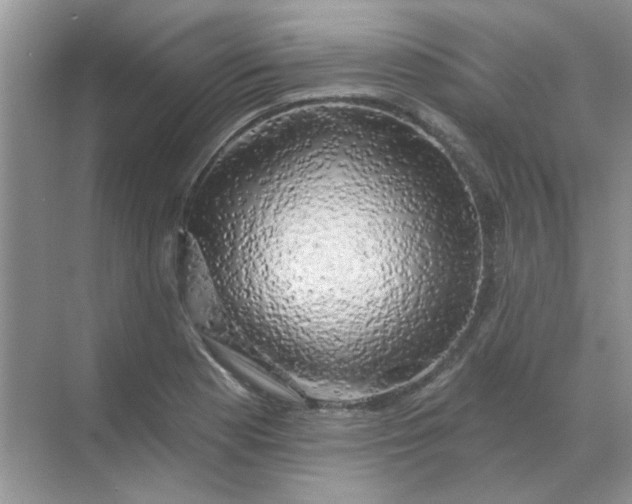 X0000068891177200605192127