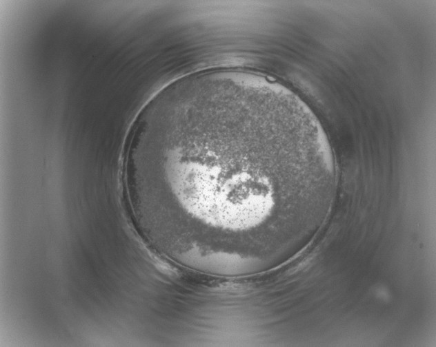 X0000068891178200605192127