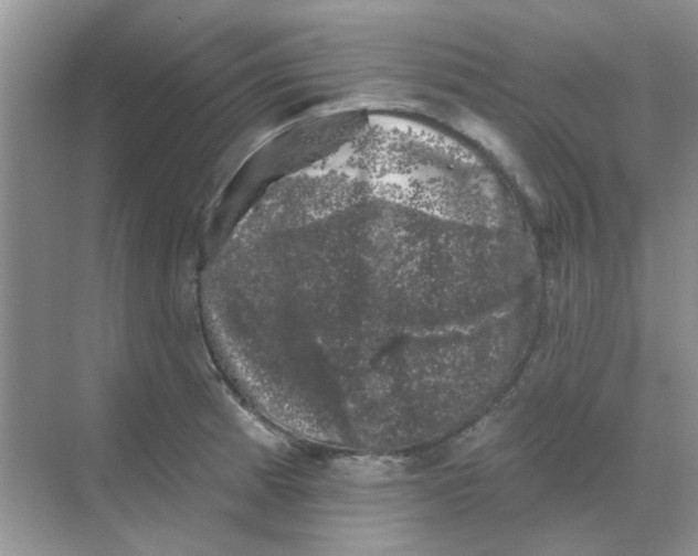 X0000068891185200605192127