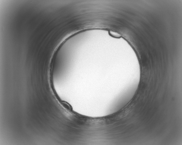 X0000068891187200605192127