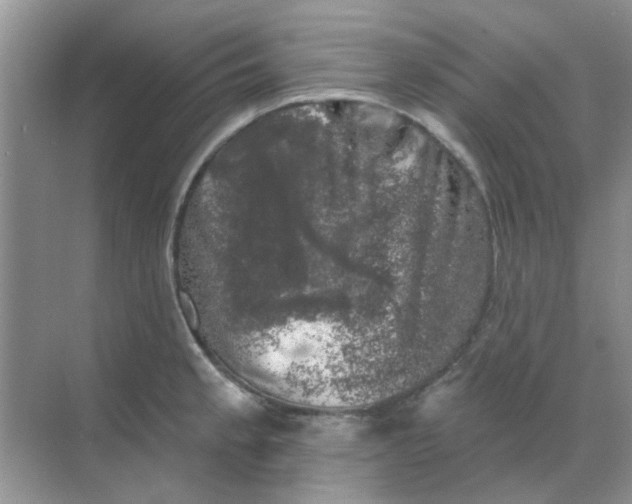 X0000068891189200605192127