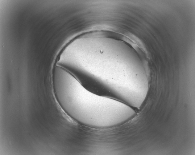 X0000068891192200605192127