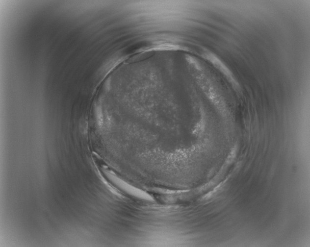 X0000068891193200605192127