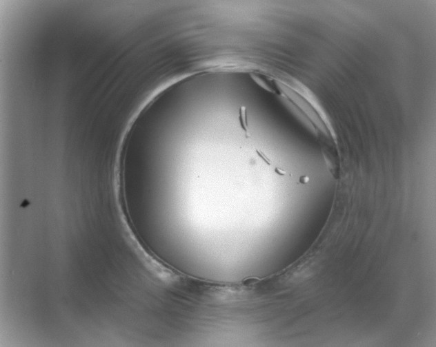 X0000068891195200605192127