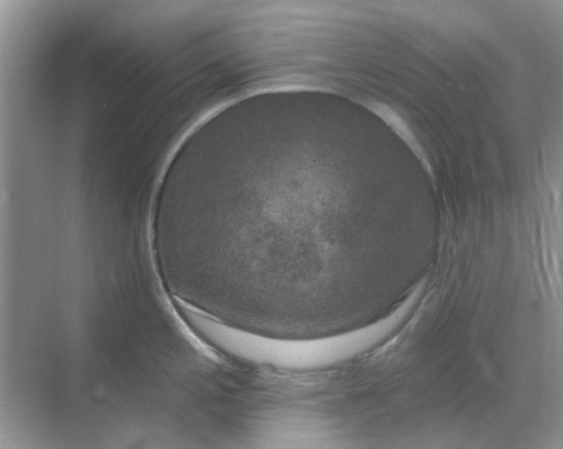 X0000068891197200605192127